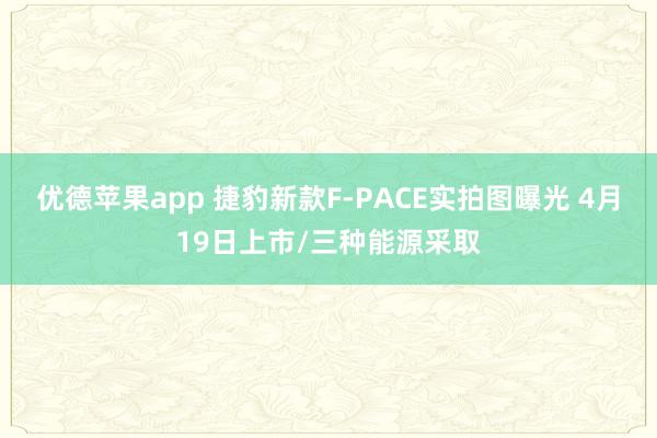 优德苹果app 捷豹新款F-PACE实拍图曝光 4月19日上市/三种能源采取