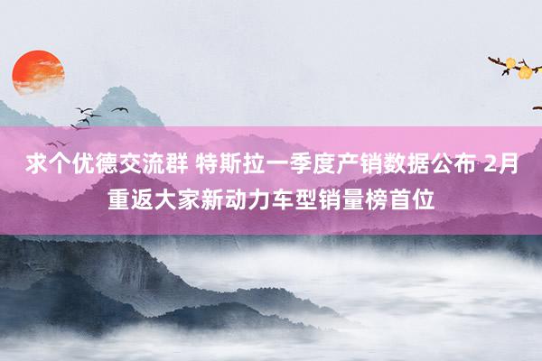 求个优德交流群 特斯拉一季度产销数据公布 2月重返大家新动力车型销量榜首位